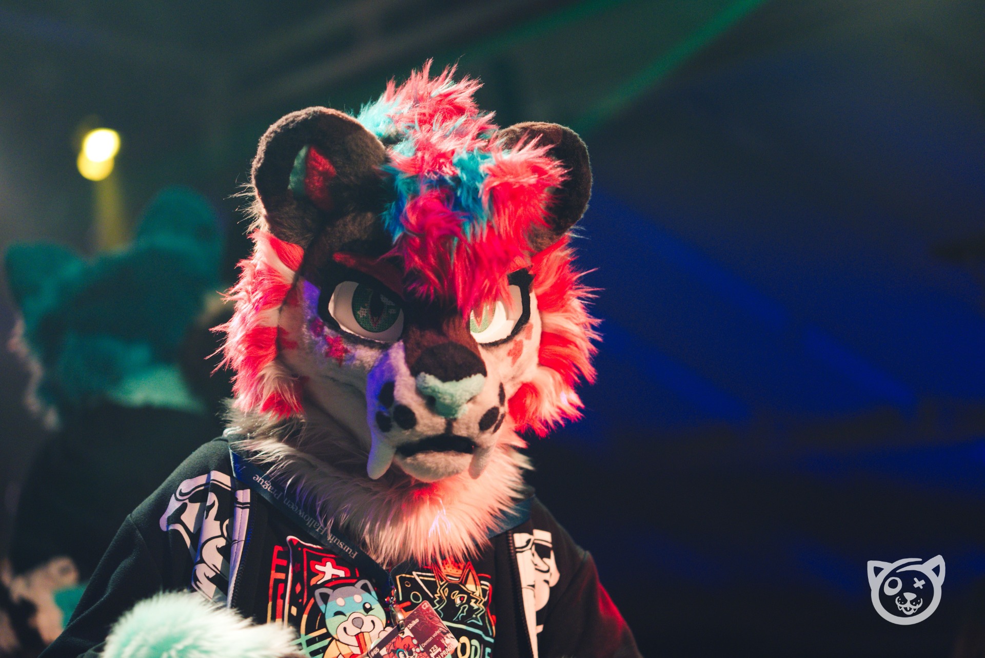 Photo by Vulpy